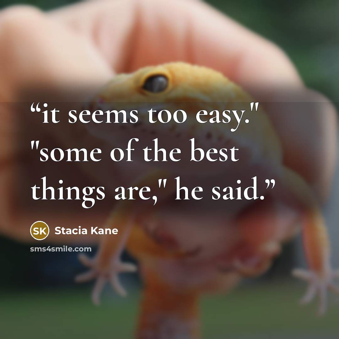 “it seems too easy." "some of the best things are," he said.” quote by Stacia Kane