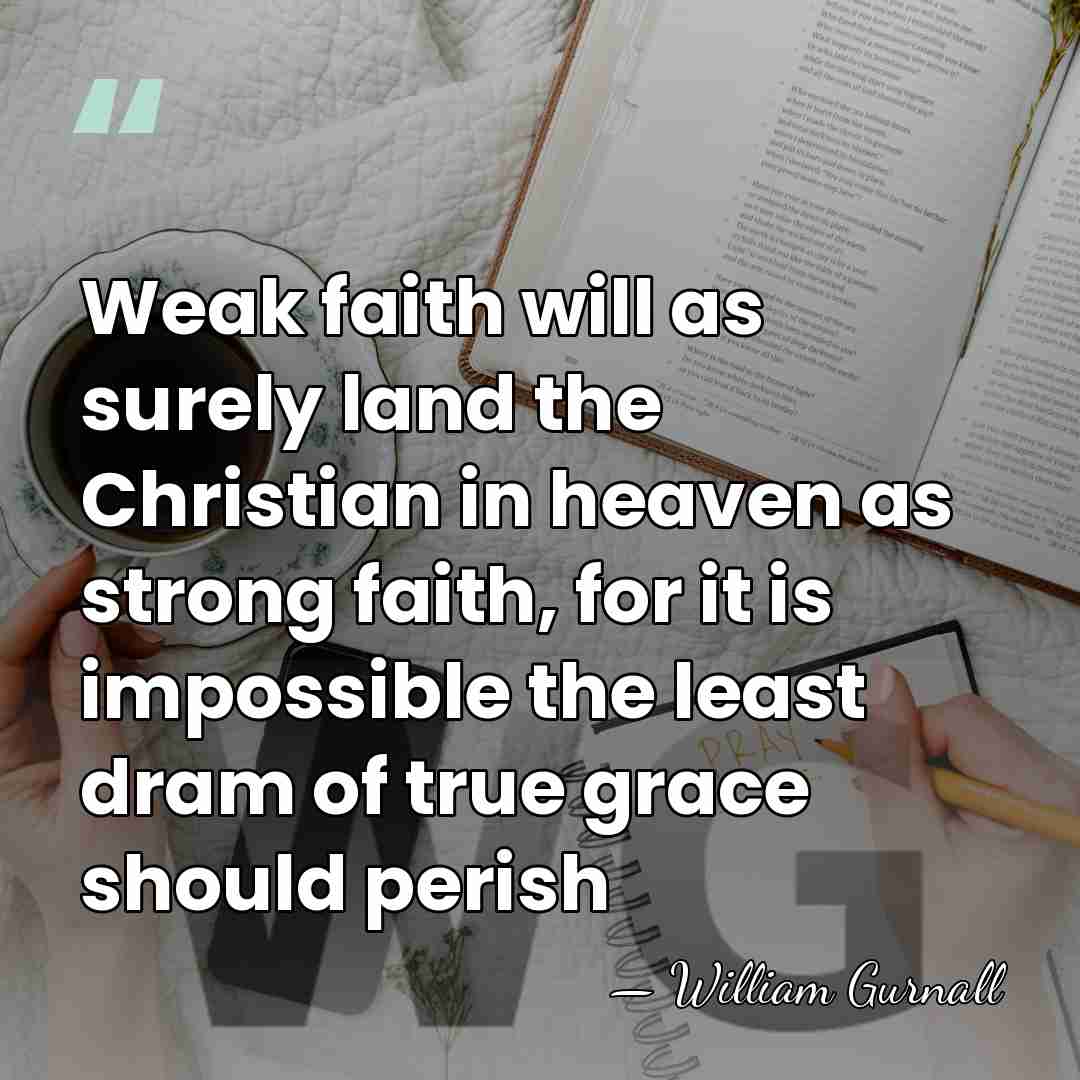 Weak faith will as surely land the Christian in heaven as strong&hellip; - William Gurnall