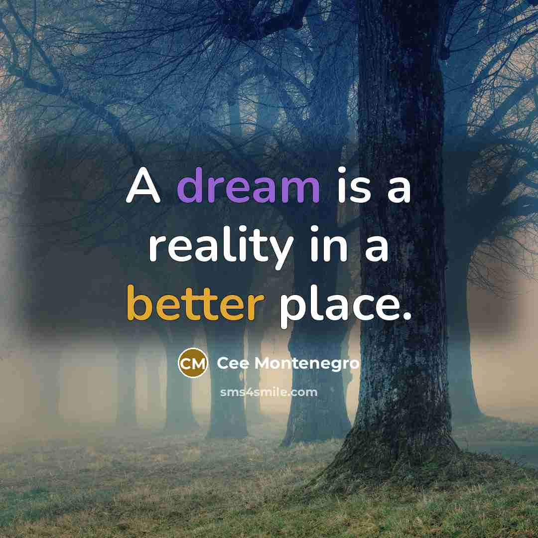 “A dream is a reality in a better place.” quote by Cee Montenegro