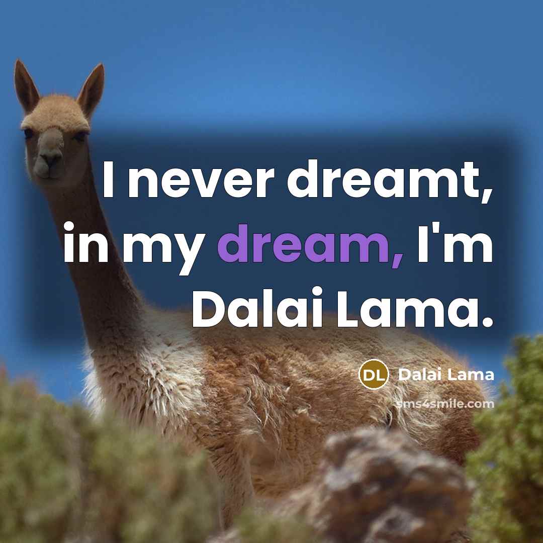 “I never dreamt, in my dream, I'm Dalai Lama.…” quote by Dalai Lama