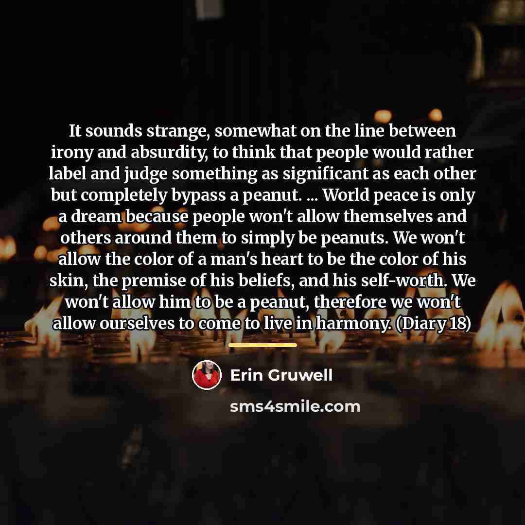 “It sounds strange, somewhat on the line between irony and…” quote by Erin Gruwell