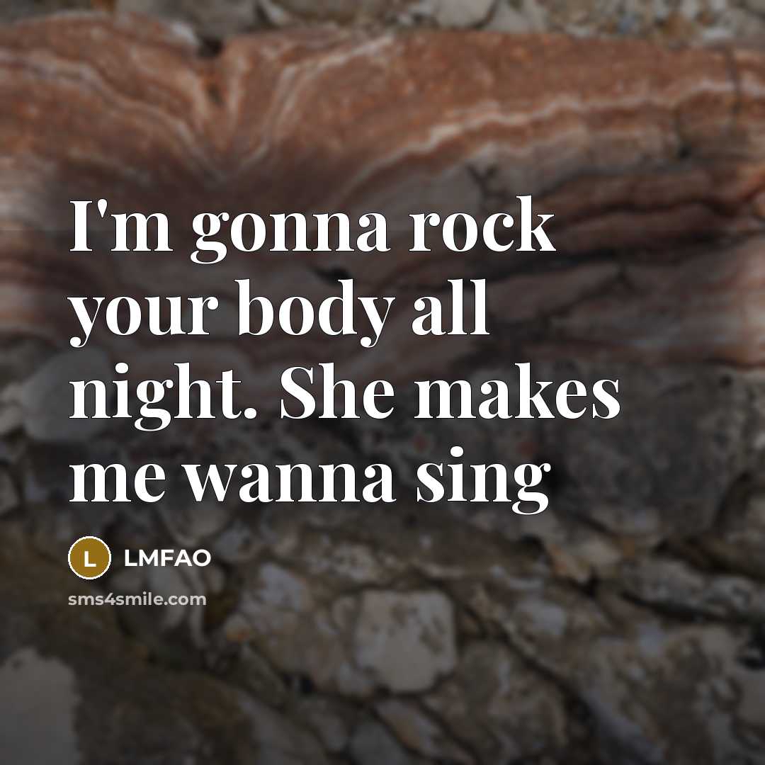 “I'm gonna rock your body all night. She makes me wanna sing” quote by LMFAO