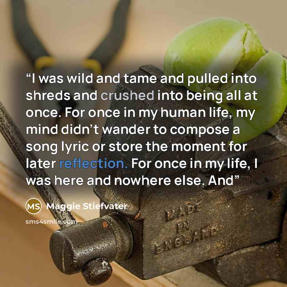 “I was wild and tame and pulled into shreds and crushed into being all at once. For once in my human life, my mind didn’t wander to compose a song lyric or store the moment for later reflection. For once in my life, I was here and nowhere else. And” quote by Maggie Stiefvater