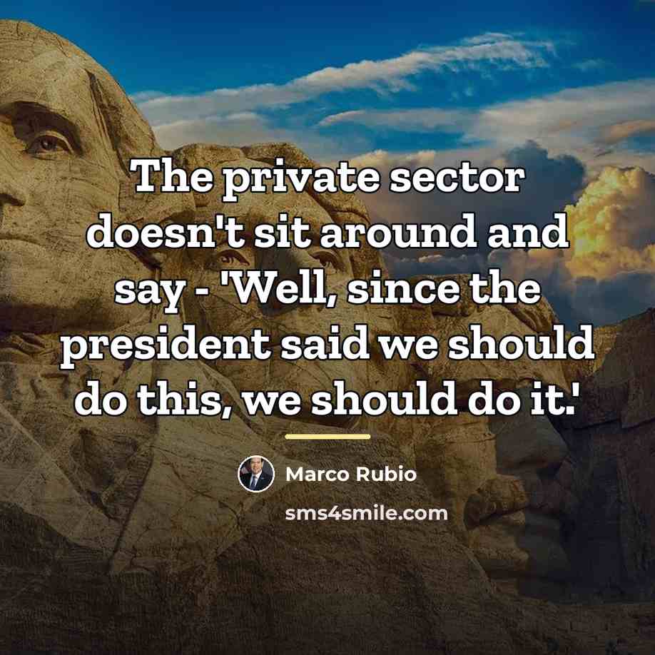 “The private sector doesn't sit around and say - 'Well,…” quote by Marco Rubio