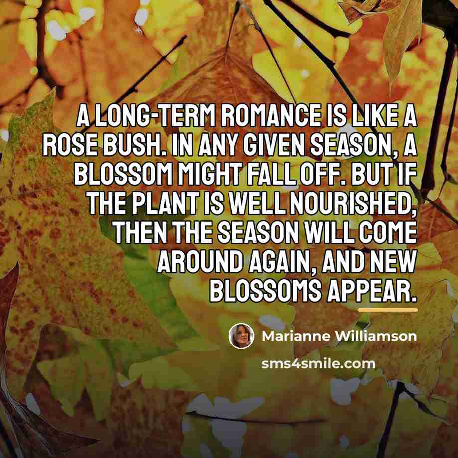 “A long-term romance is like a rose bush. In any…” quote by Marianne Williamson