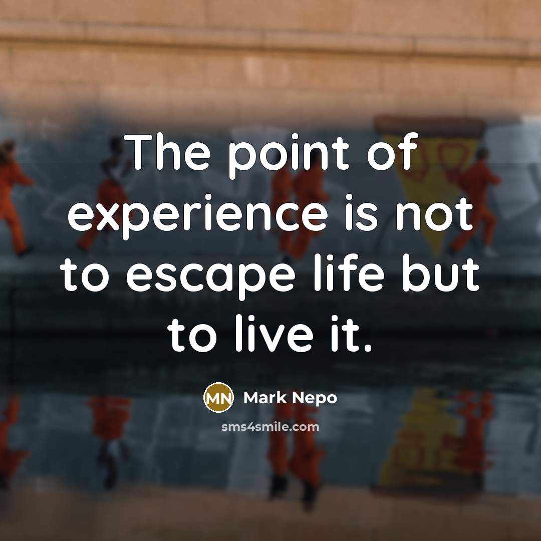 “The point of experience is not to escape life but to live it.” quote by Mark Nepo
