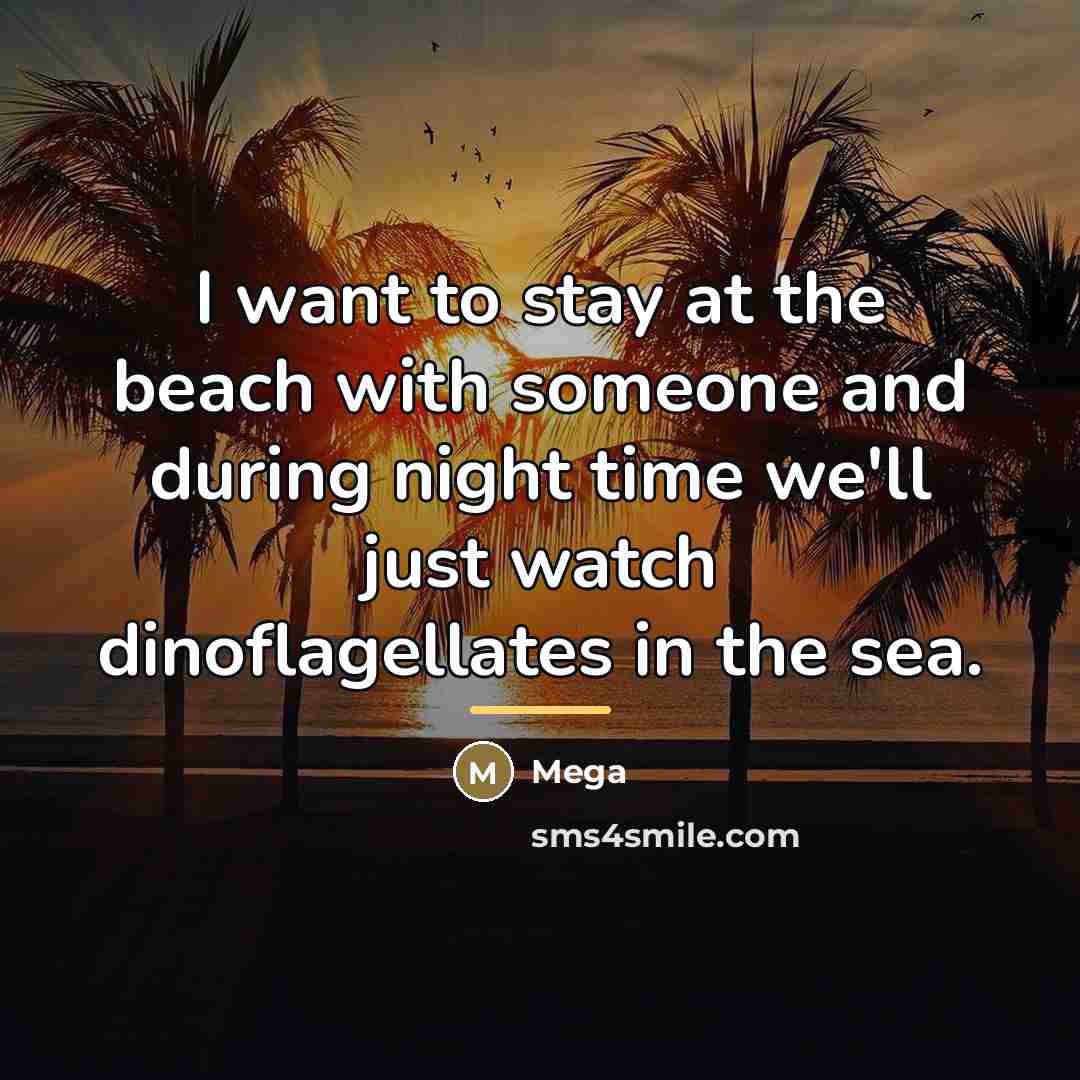 “I want to stay at the beach with someone and…” quote by Mega