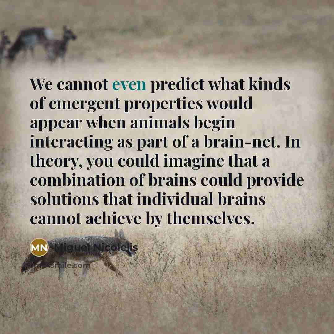“We cannot even predict what kinds of emergent properties would…” quote by Miguel Nicolelis