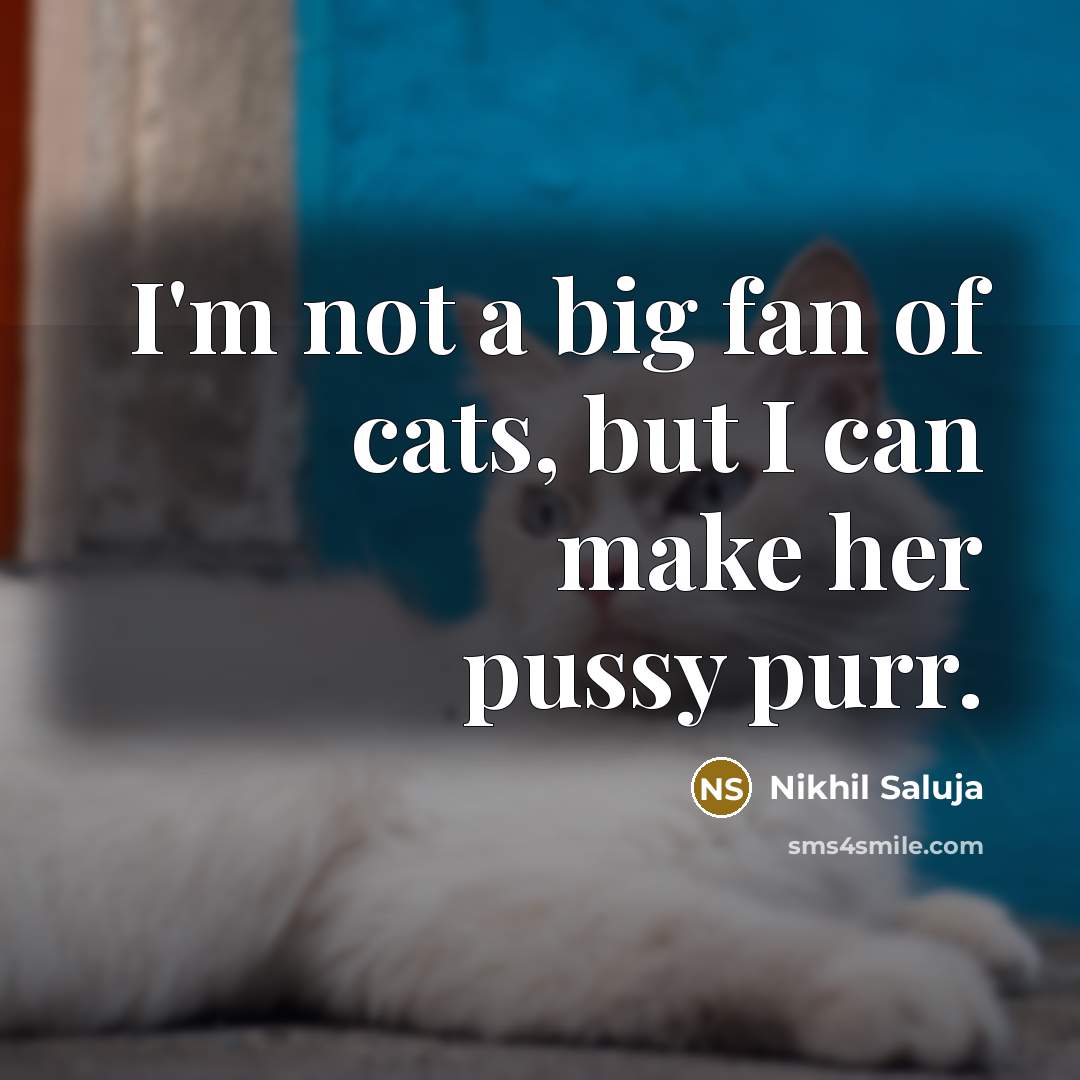 “I'm not a big fan of cats, but I can…” quote by Nikhil Saluja