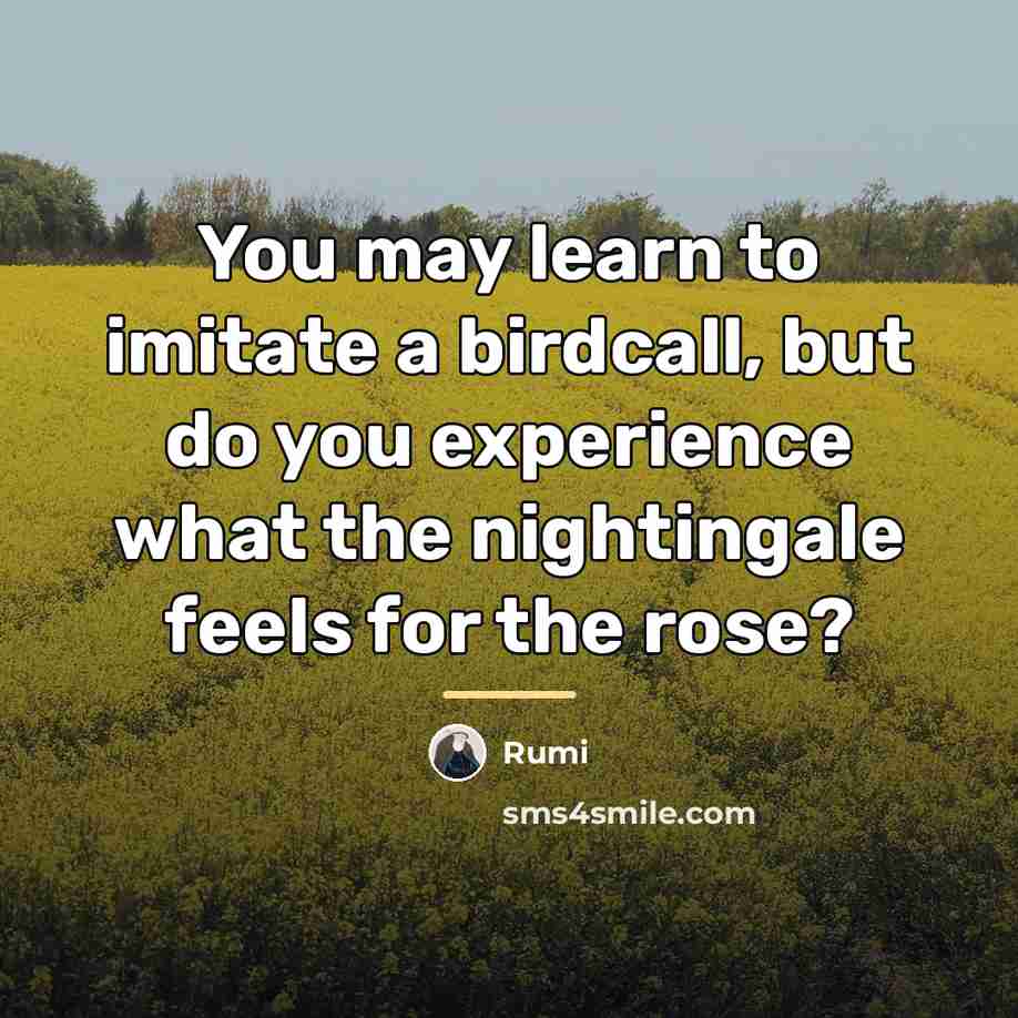 “You may learn to imitate a birdcall, but do you…” quote by Rumi