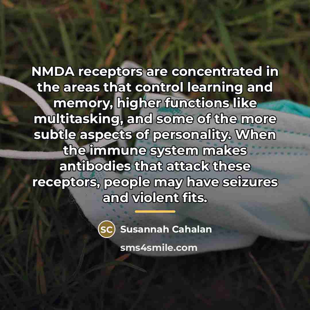 “NMDA receptors are concentrated in the areas that control learning…” quote by Susannah Cahalan
