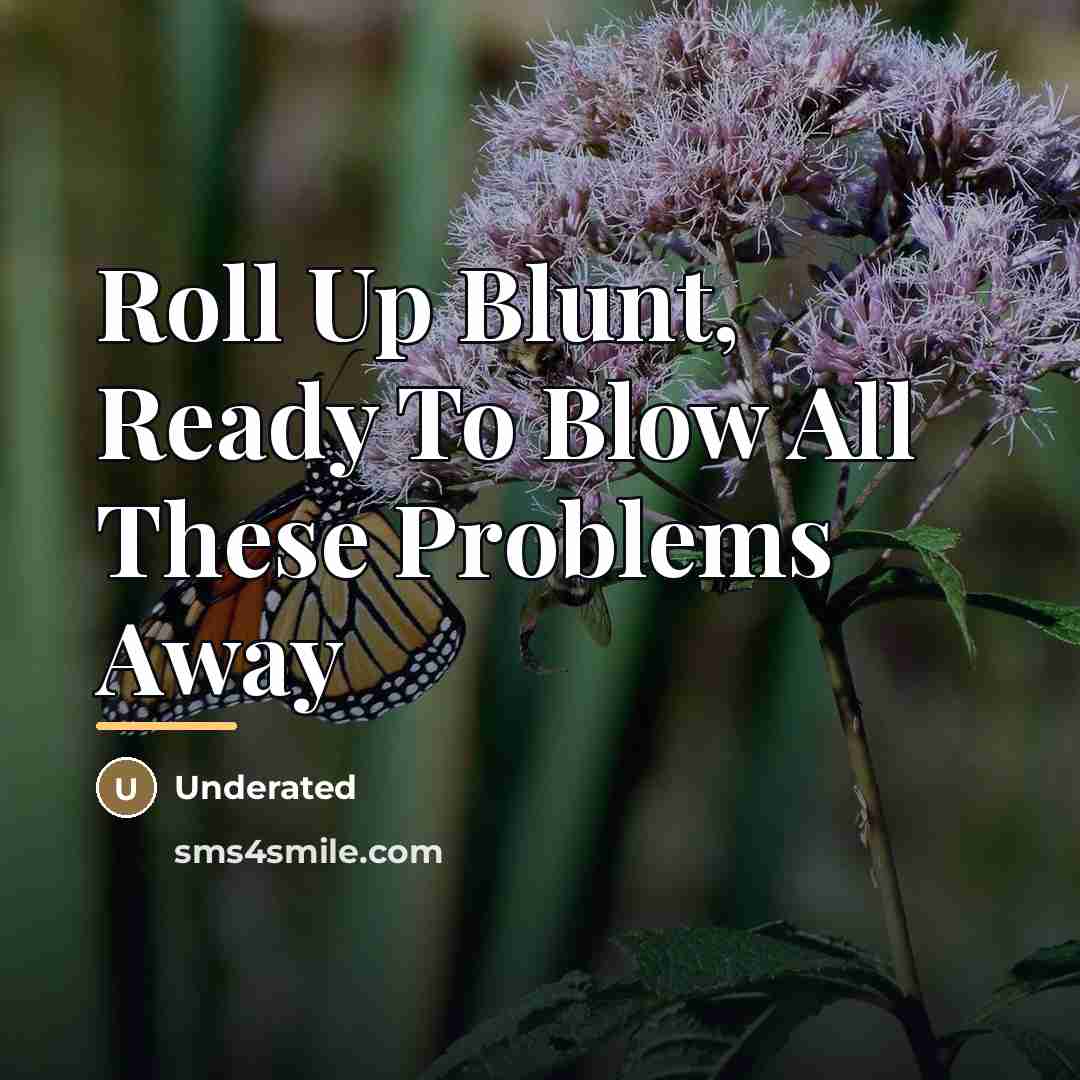 “Roll Up Blunt, Ready To Blow All These Problems Away…” quote by Underated