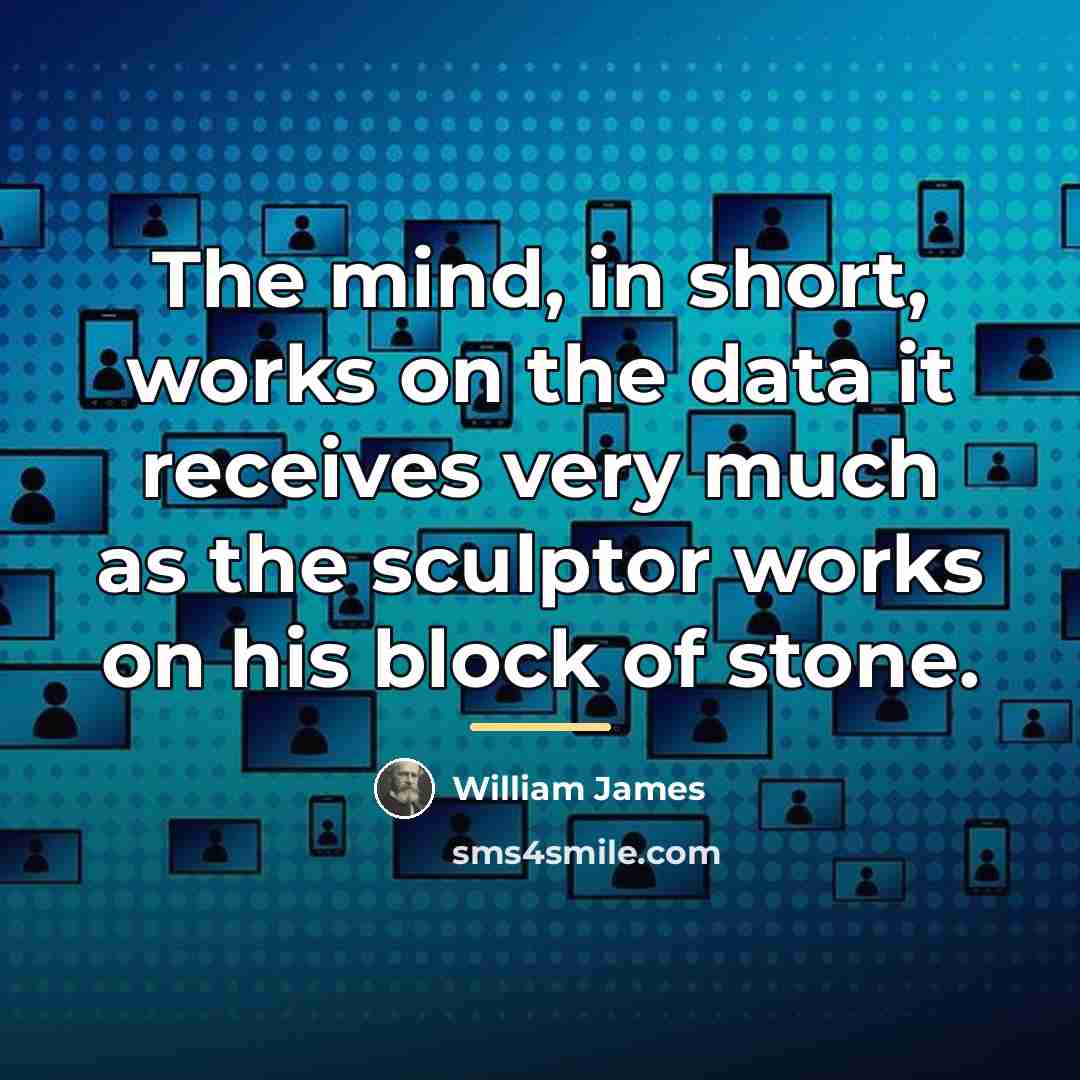 “The mind, in short, works on the data it receives…” quote by William James