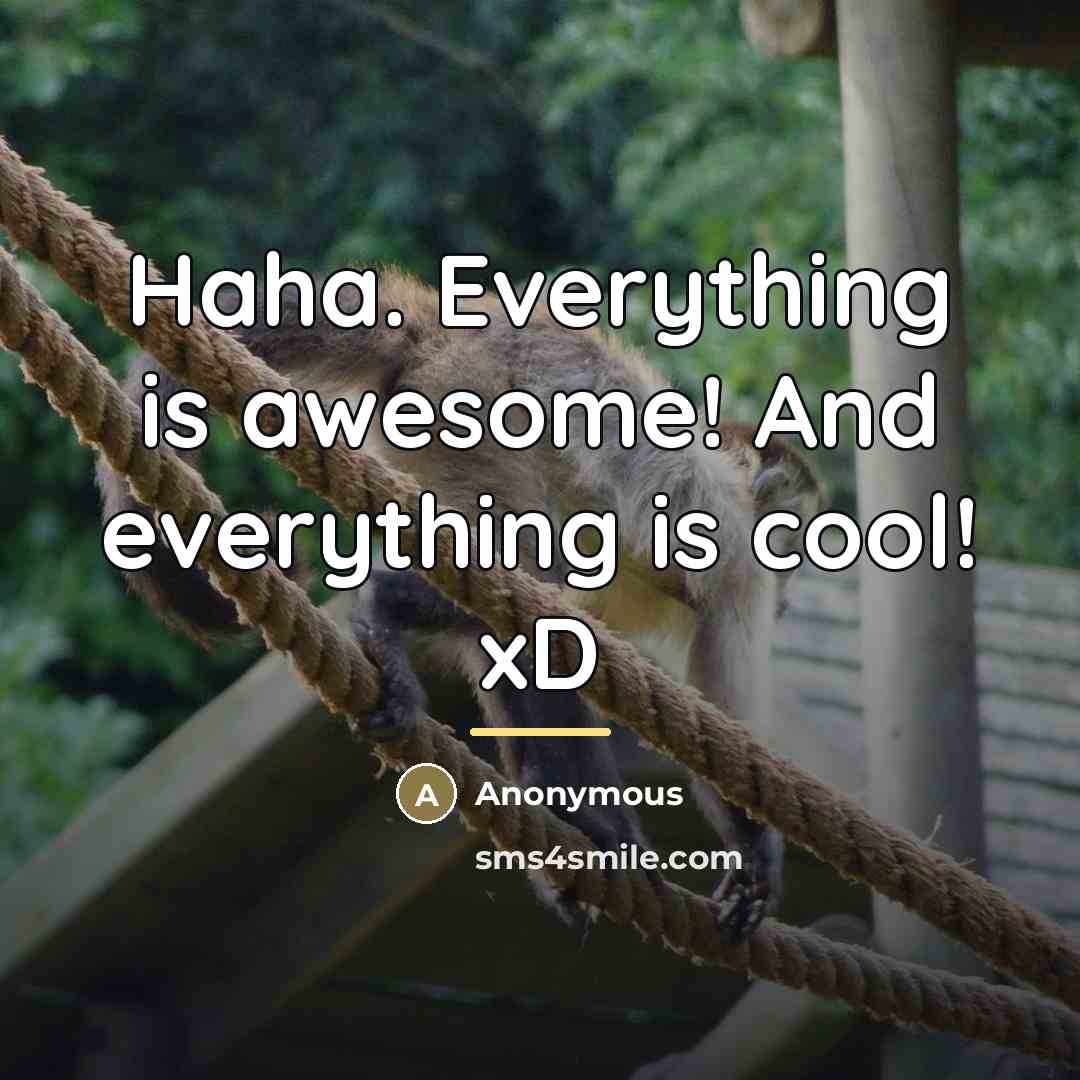 “Haha. Everything is awesome! And everything is cool! xD…” quote by Anonymous