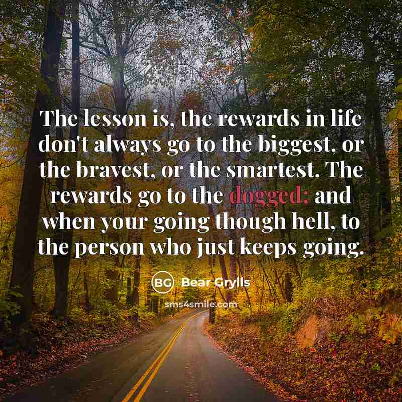 “The lesson is, the rewards in life don't always go…” quote by Bear Grylls