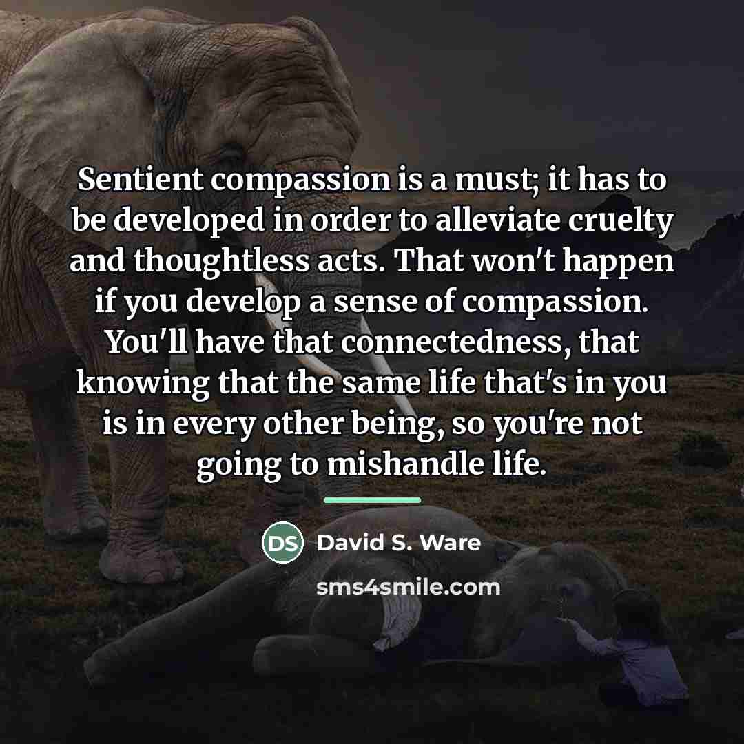 “Sentient compassion is a must; it has to be developed…” quote by David S. Ware