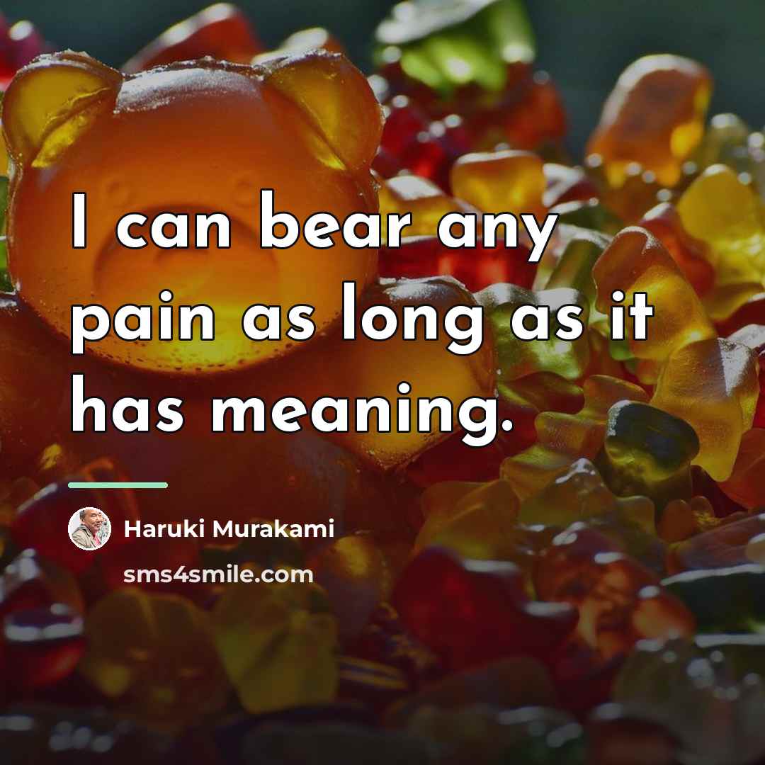 “I can bear any pain as long as it has…” quote by Haruki Murakami