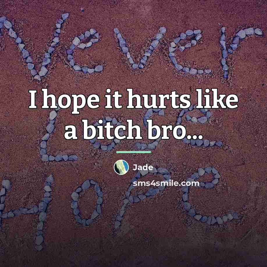 “I hope it hurts like a bitch bro...…” quote by Jade