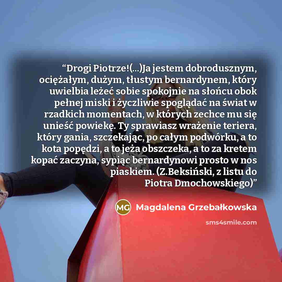 “Drogi Piotrze!(...)Ja jestem dobrodusznym, ociężałym, dużym, tłustym bernardynem, który uwielbia leżeć sobie spokojnie na słońcu obok pełnej miski i życzliwie spoglądać na świat w rzadkich momentach, w których zechce mu się unieść powiekę. Ty sprawiasz wrażenie teriera, który gania, szczekając, po…” quote by Magdalena Grzebałkowska