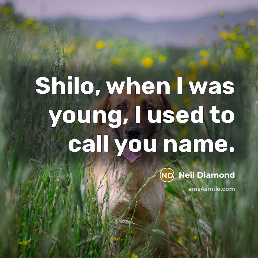 “Shilo, when I was young, I used to call you…” quote by Neil Diamond