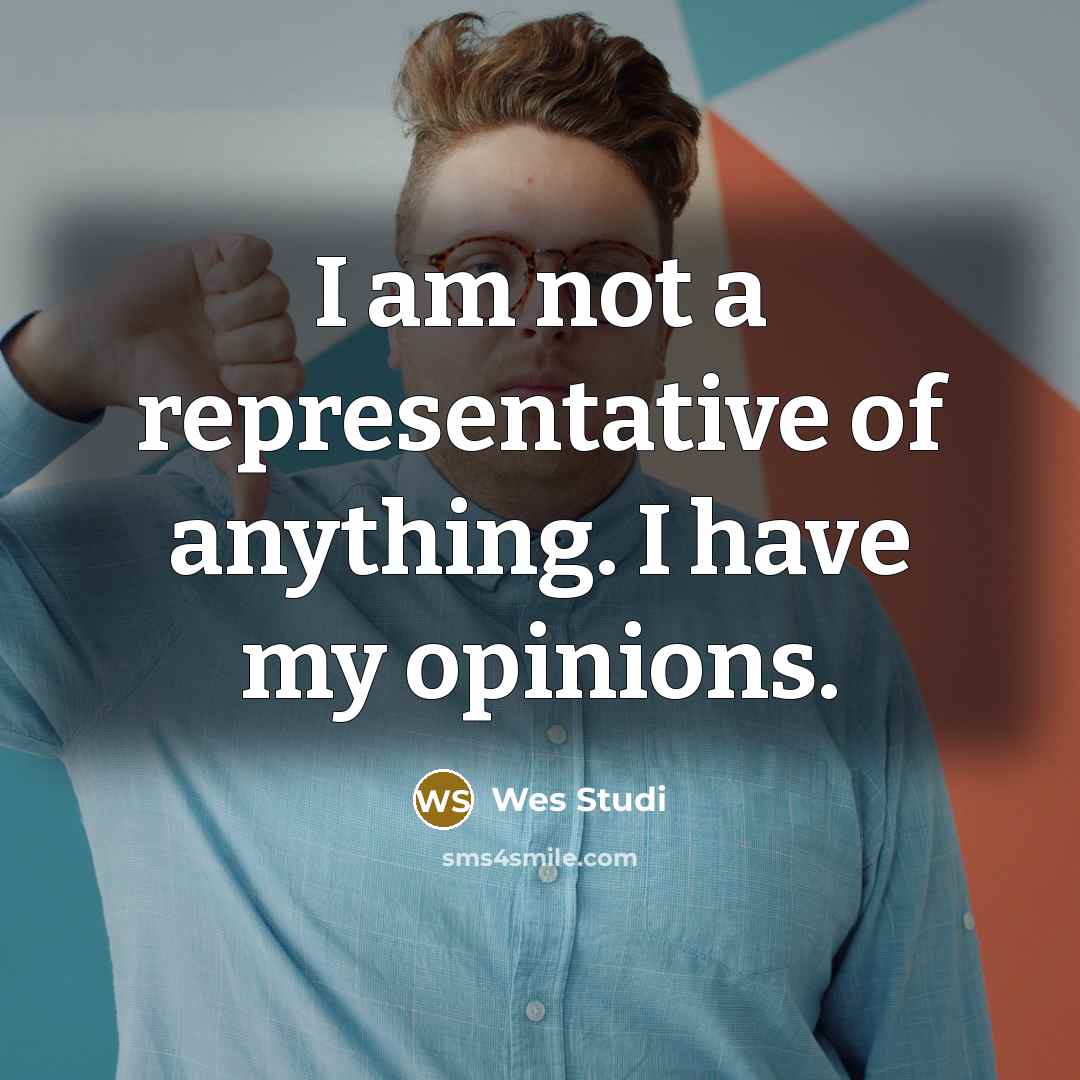 “I am not a representative of anything. I have my…” quote by Wes Studi