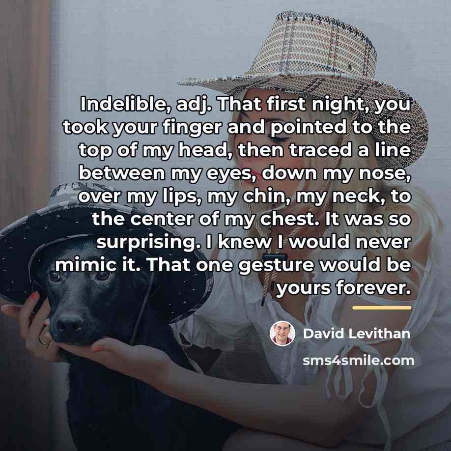 “Indelible, adj. That first night, you took your finger and…” quote by David Levithan