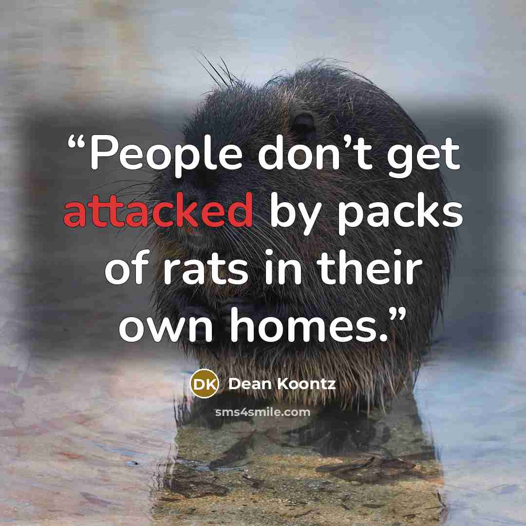 “People don’t get attacked by packs of rats in their own homes.” quote by Dean Koontz