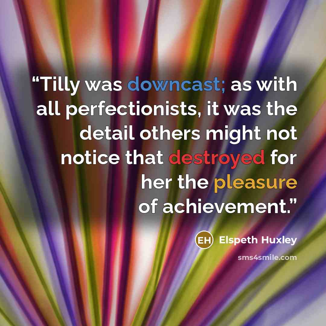 “Tilly was downcast; as with all perfectionists, it was the detail others might not notice that destroyed for her the pleasure of achievement.” quote by Elspeth Huxley