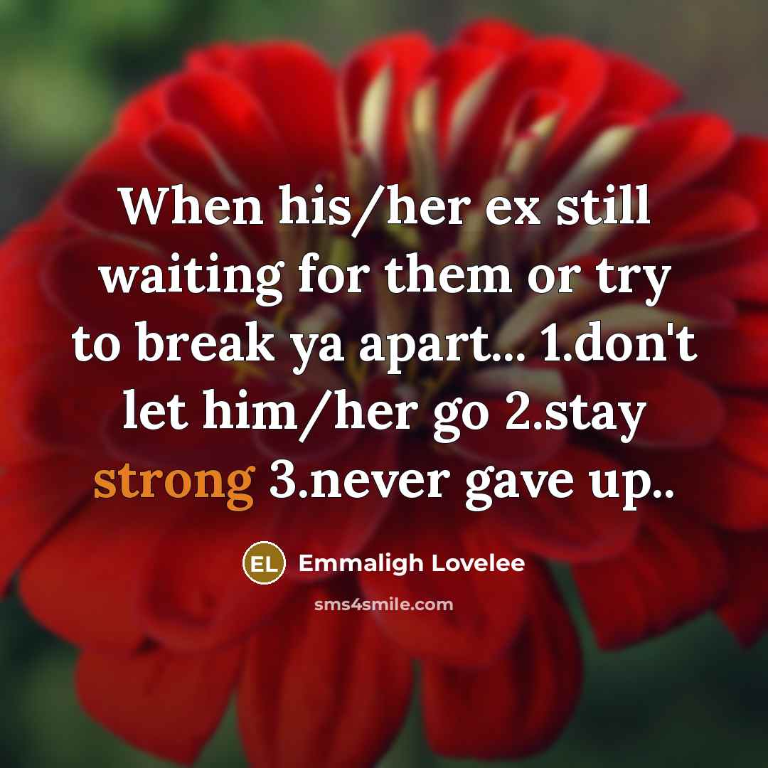 “When his/her ex still waiting for them or try to…” quote by Emmaligh Lovelee