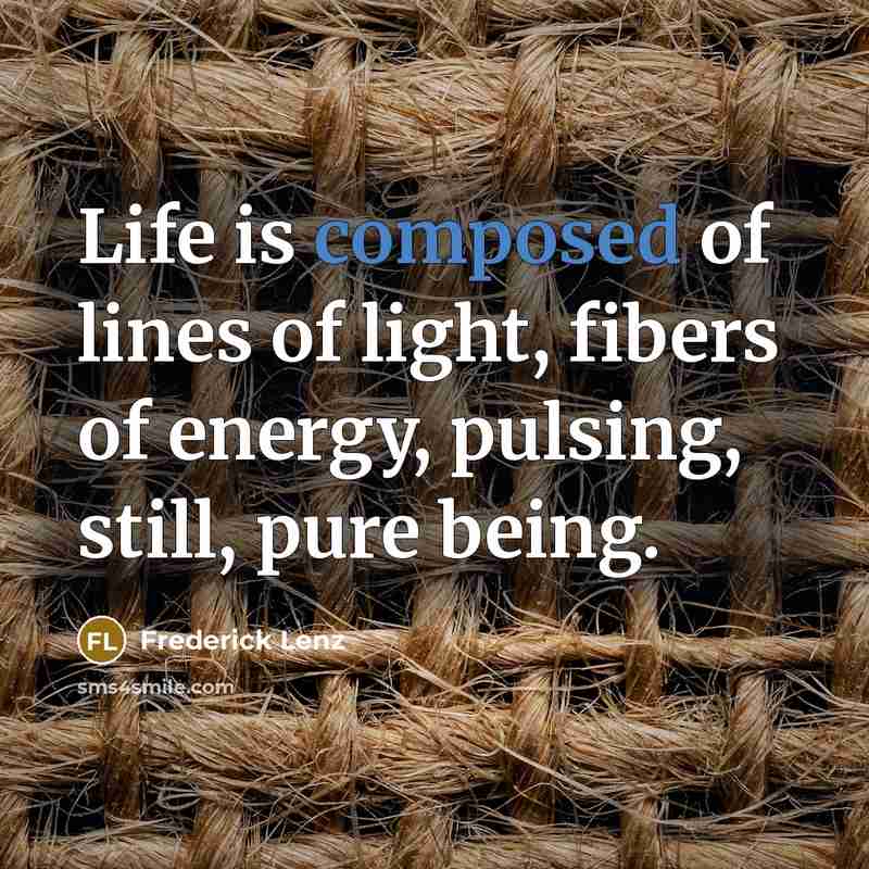 “Life is composed of lines of light, fibers of energy,…” quote by Frederick Lenz