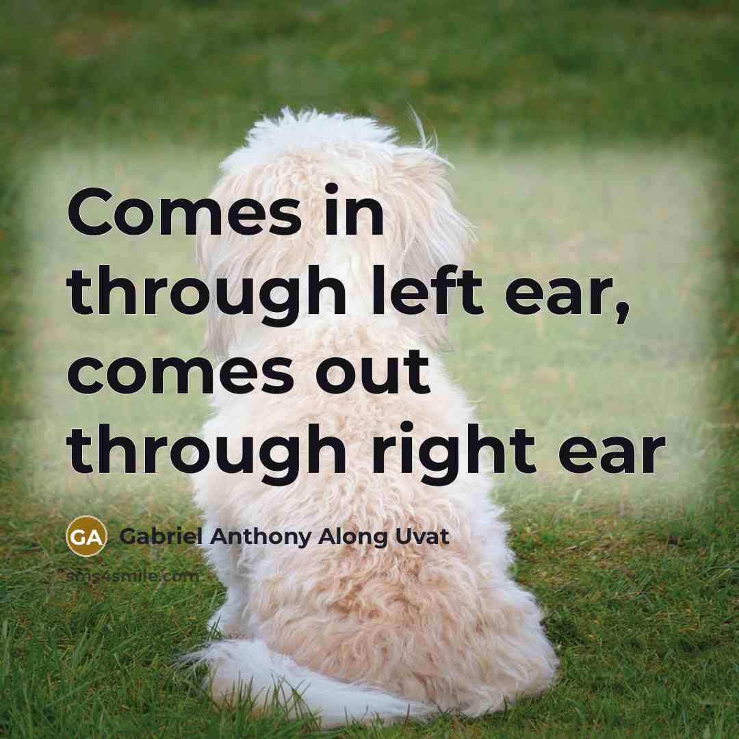 “Comes in through left ear, comes out through right ear” quote by Gabriel Anthony Along Uvat