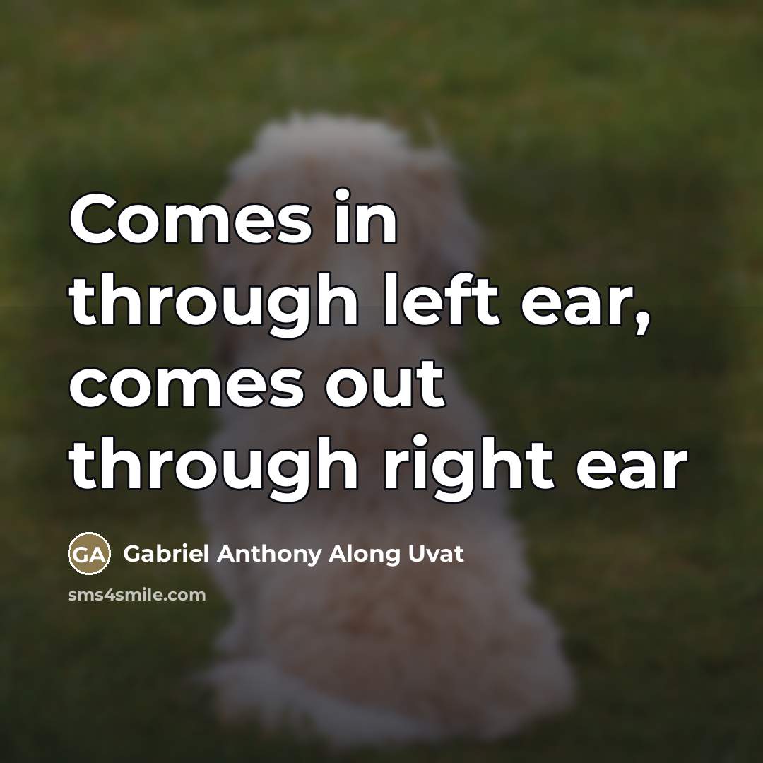 “Comes in through left ear, comes out through right ear” quote by Gabriel Anthony Along Uvat