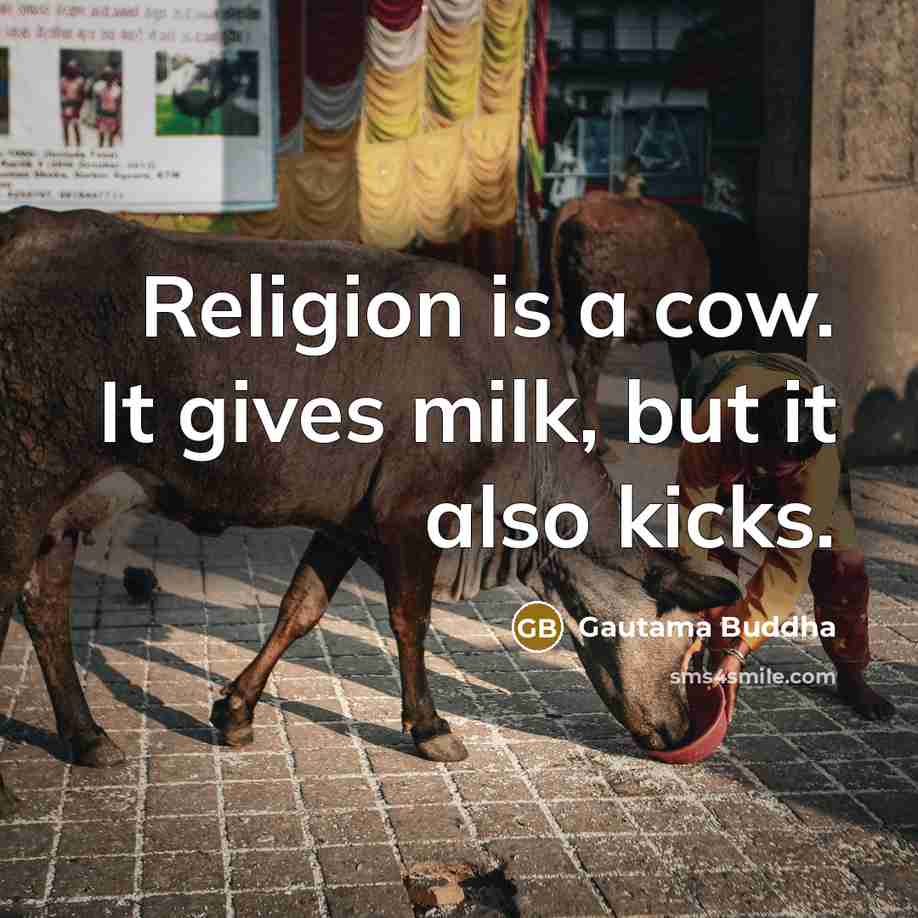 “Religion is a cow. It gives milk, but it also…” quote by Gautama Buddha