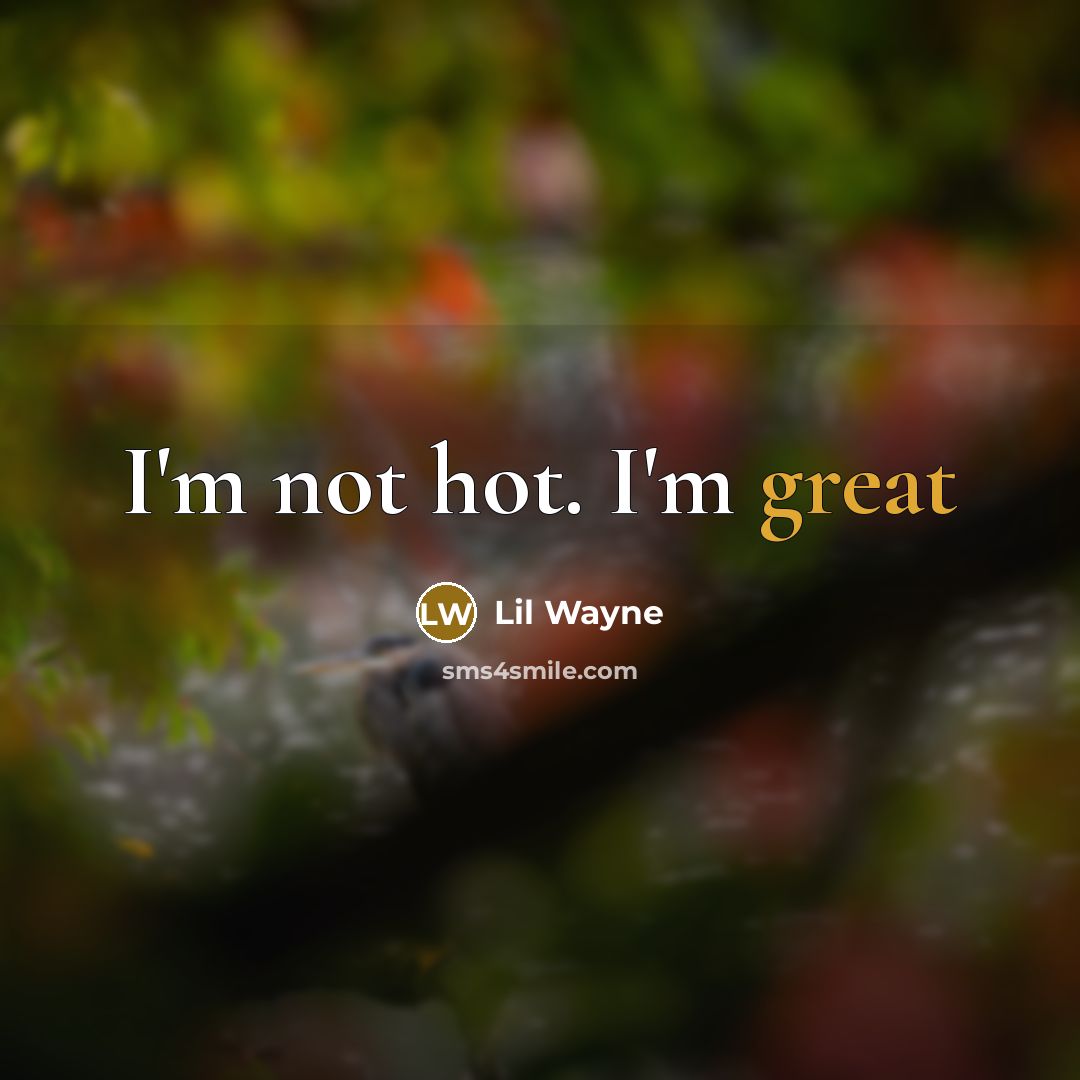 “I'm not hot. I'm great…” quote by Lil Wayne