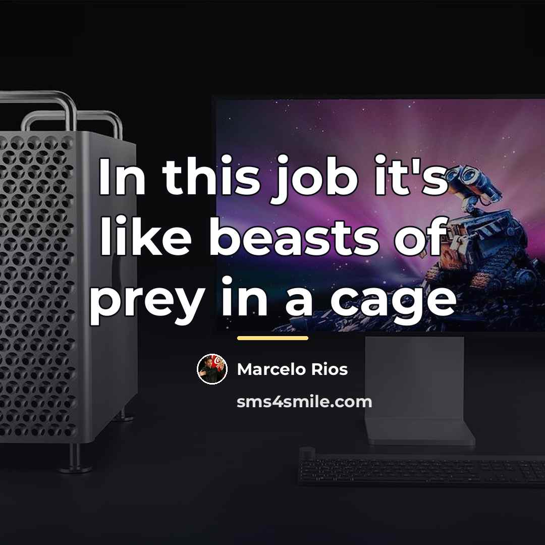 “In this job it's like beasts of prey in a…” quote by Marcelo Rios