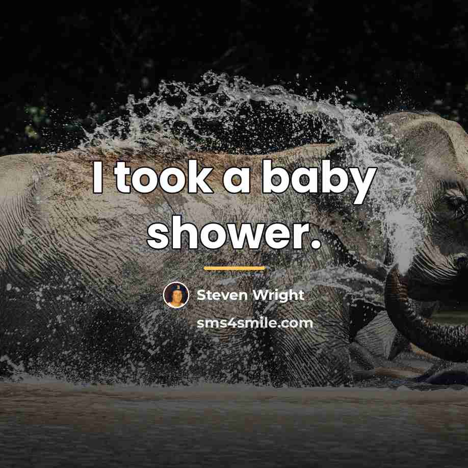 “I took a baby shower.…” quote by Steven Wright