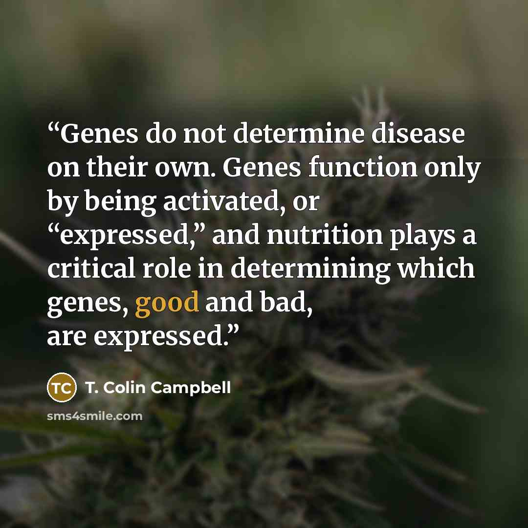 “Genes do not determine disease on their own. Genes function only by being activated, or “expressed,” and nutrition plays a critical role in determining which genes, good and bad, are expressed.” quote by T. Colin Campbell