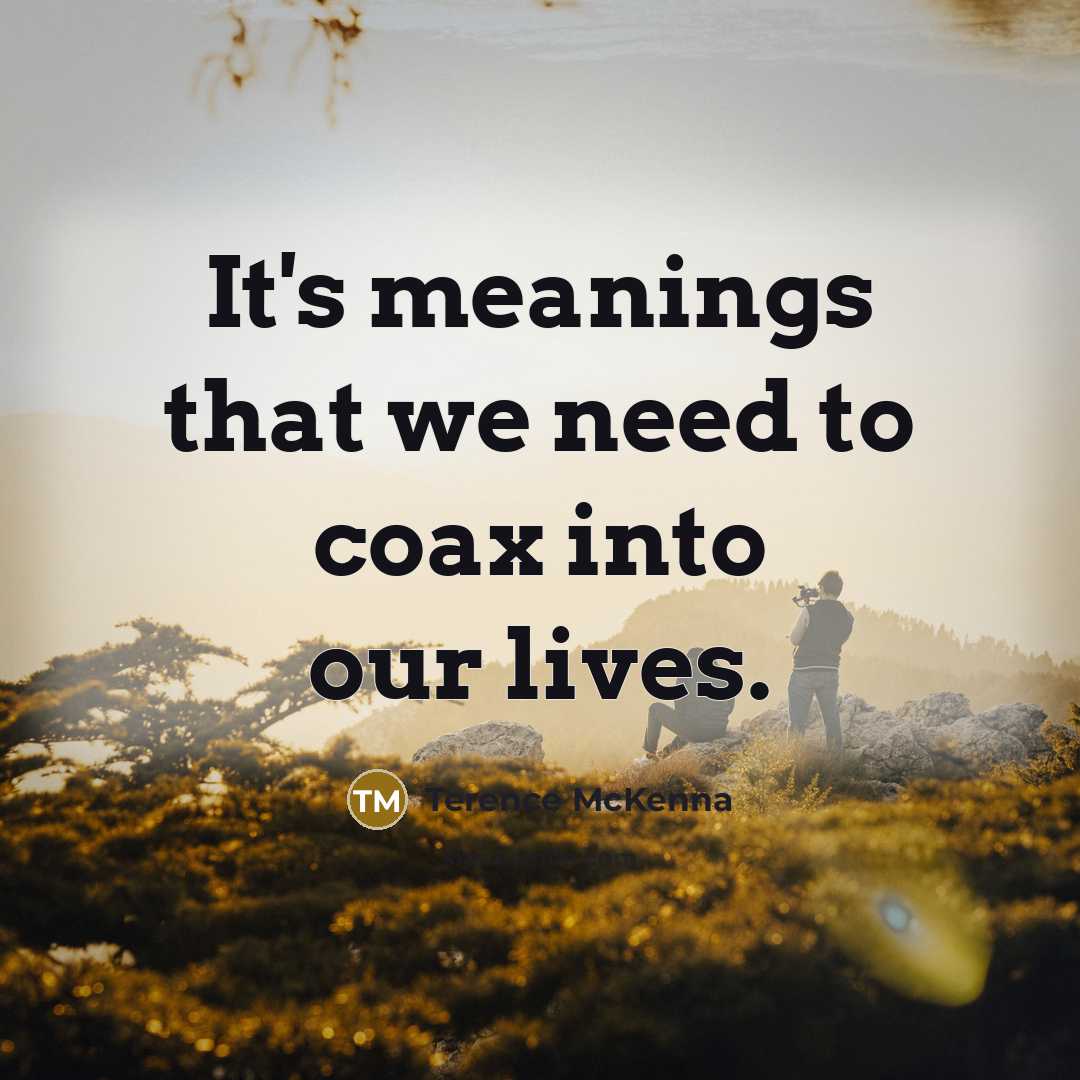 “It's meanings that we need to coax into our lives.…” quote by Terence McKenna