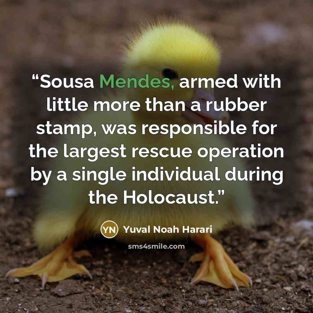“Sousa Mendes, armed with little more than a rubber stamp, was responsible for the largest rescue operation by a single individual during the Holocaust.” quote by Yuval Noah Harari