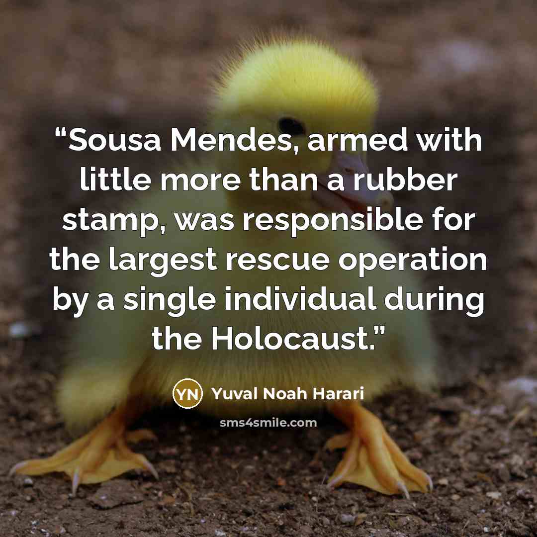 “Sousa Mendes, armed with little more than a rubber stamp, was responsible for the largest rescue operation by a single individual during the Holocaust.” quote by Yuval Noah Harari