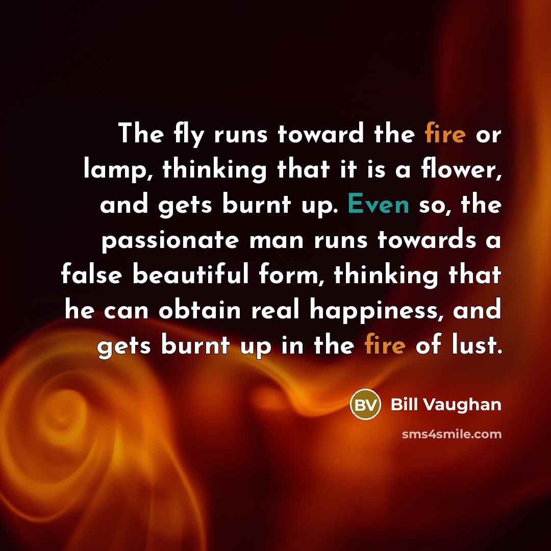 “The fly runs toward the fire or lamp, thinking that…” quote by Bill Vaughan