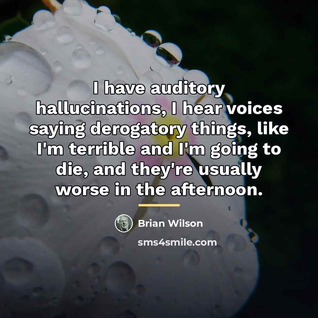 “I have auditory hallucinations, I hear voices saying derogatory things,…” quote by Brian Wilson