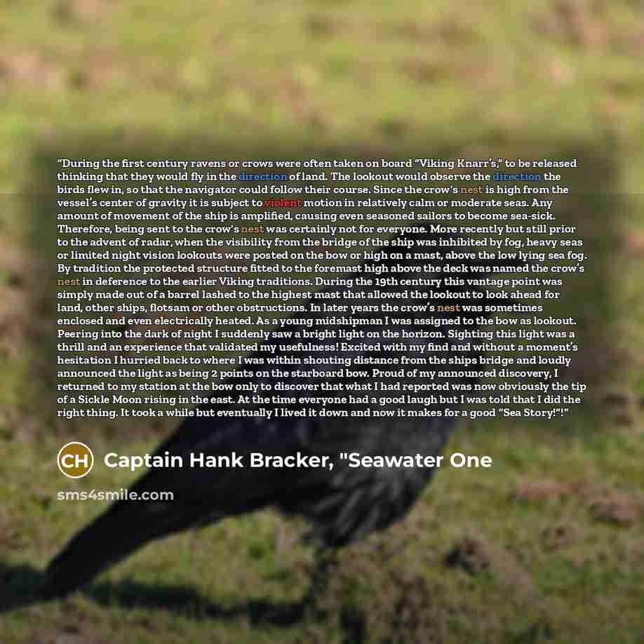 “During the first century ravens or crows were often taken on board “Viking Knarr’s,” to be released thinking that they would fly in the direction of land. The lookout would observe the direction the birds flew in, so that the navigator could follow their course. Since the crow's nest is high from…” quote by Captain Hank Bracker, "Seawater One
