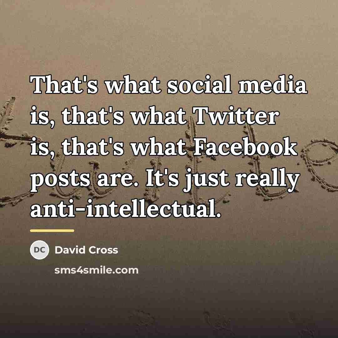 “That's what social media is, that's what Twitter is, that's…” quote by David Cross