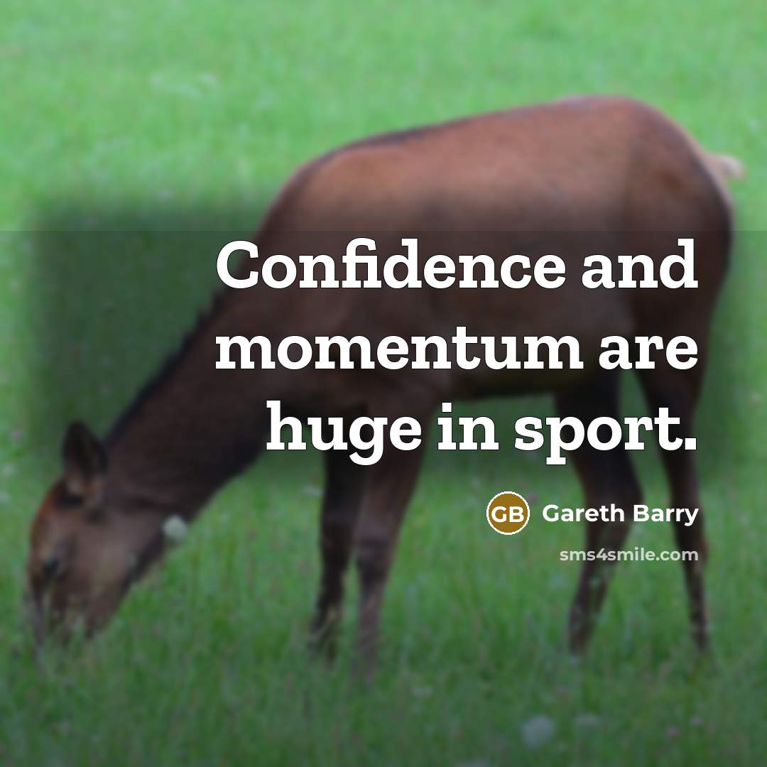 “Confidence and momentum are huge in sport.…” quote by Gareth Barry