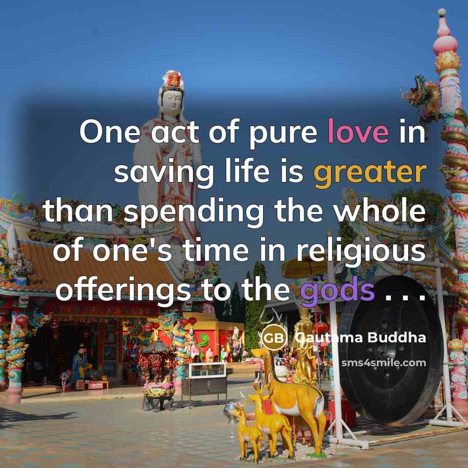 “One act of pure love in saving life is greater…” quote by Gautama Buddha