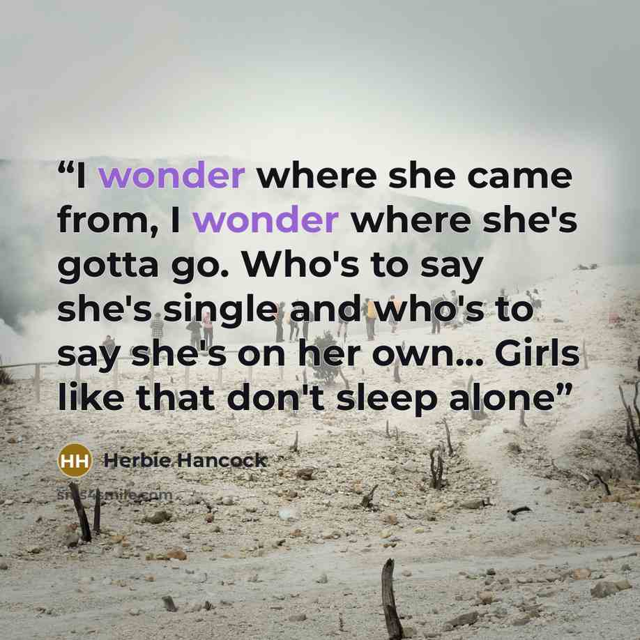 “I wonder where she came from, I wonder where she's gotta go. Who's to say she's single and who's to say she's on her own... Girls like that don't sleep alone” quote by Herbie Hancock