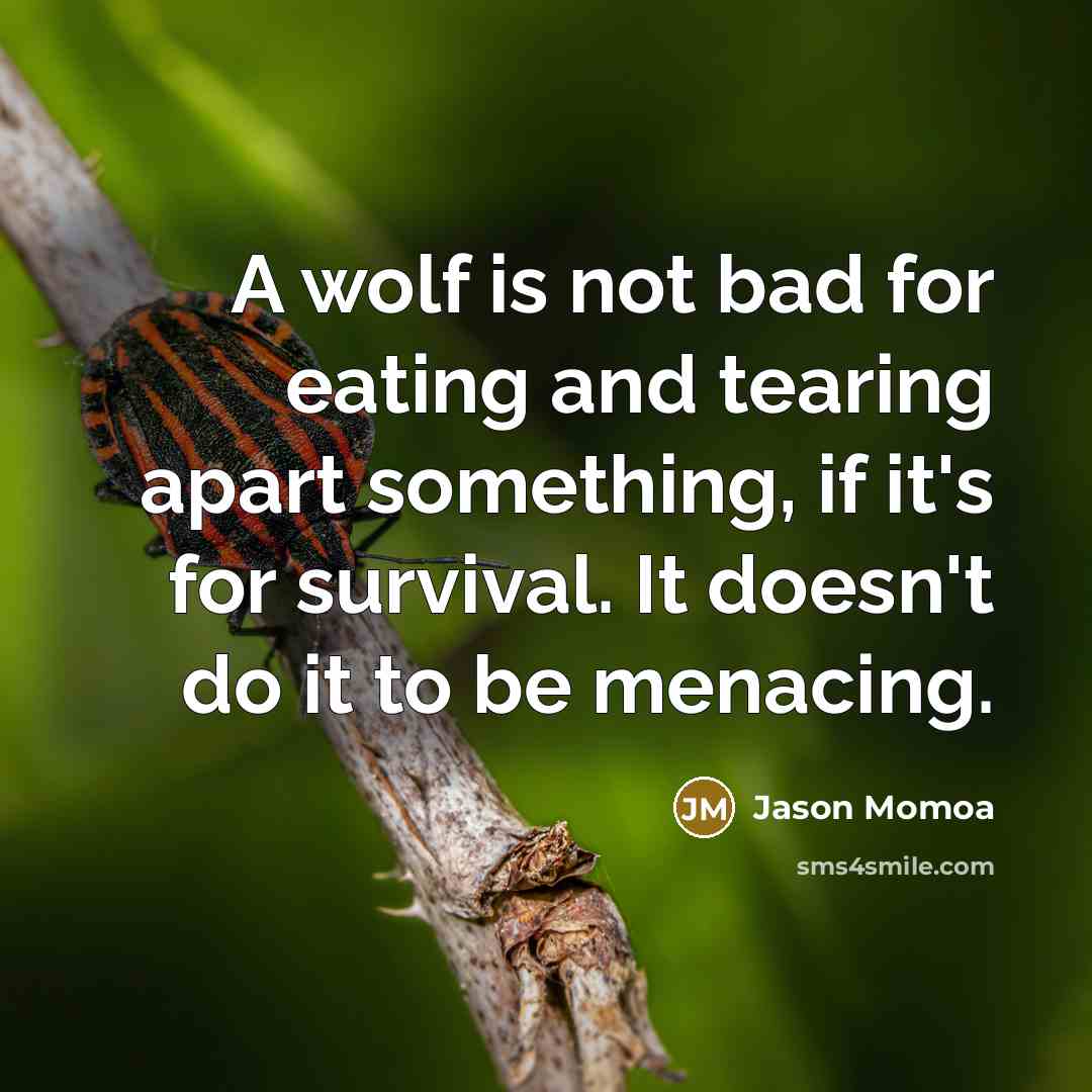 “A wolf is not bad for eating and tearing apart…” quote by Jason Momoa