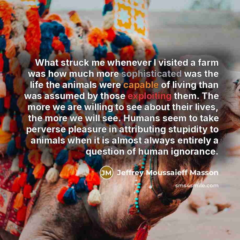 “What struck me whenever I visited a farm was how…” quote by Jeffrey Moussaieff Masson