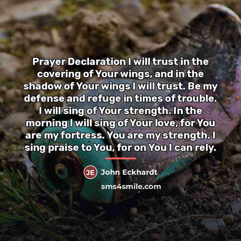 “Prayer Declaration I will trust in the covering of Your…” quote by John Eckhardt